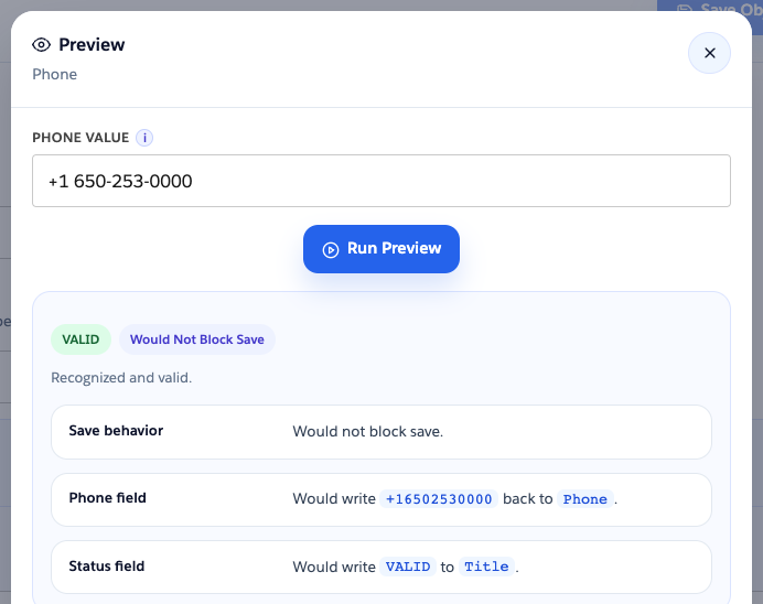 Preview modal showing VALID with save behavior, phone rewrite, and status field write